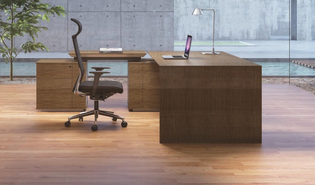 Adjustable Office Desk