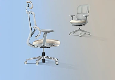 Ergonomic Chairs