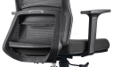 'Fanta' Ergonomic Office Chair With Headrest