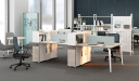 'Orion' Workstation System With Partition