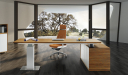 futuristic office with premium height adjustable office desk in zebra veneer