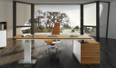 modern office with L shape office desk in zebra veneer