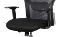 Fiesta C Executive Chair