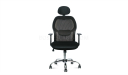 executive chair with adjustable lumbar support and adjustable headrest