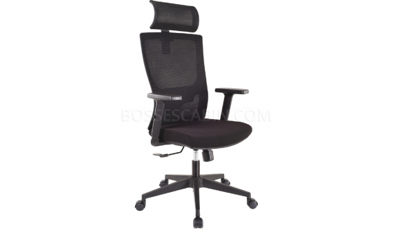executive chair with adjustable lumbar support