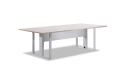 Ten Seater Conference Table : BCCN-21